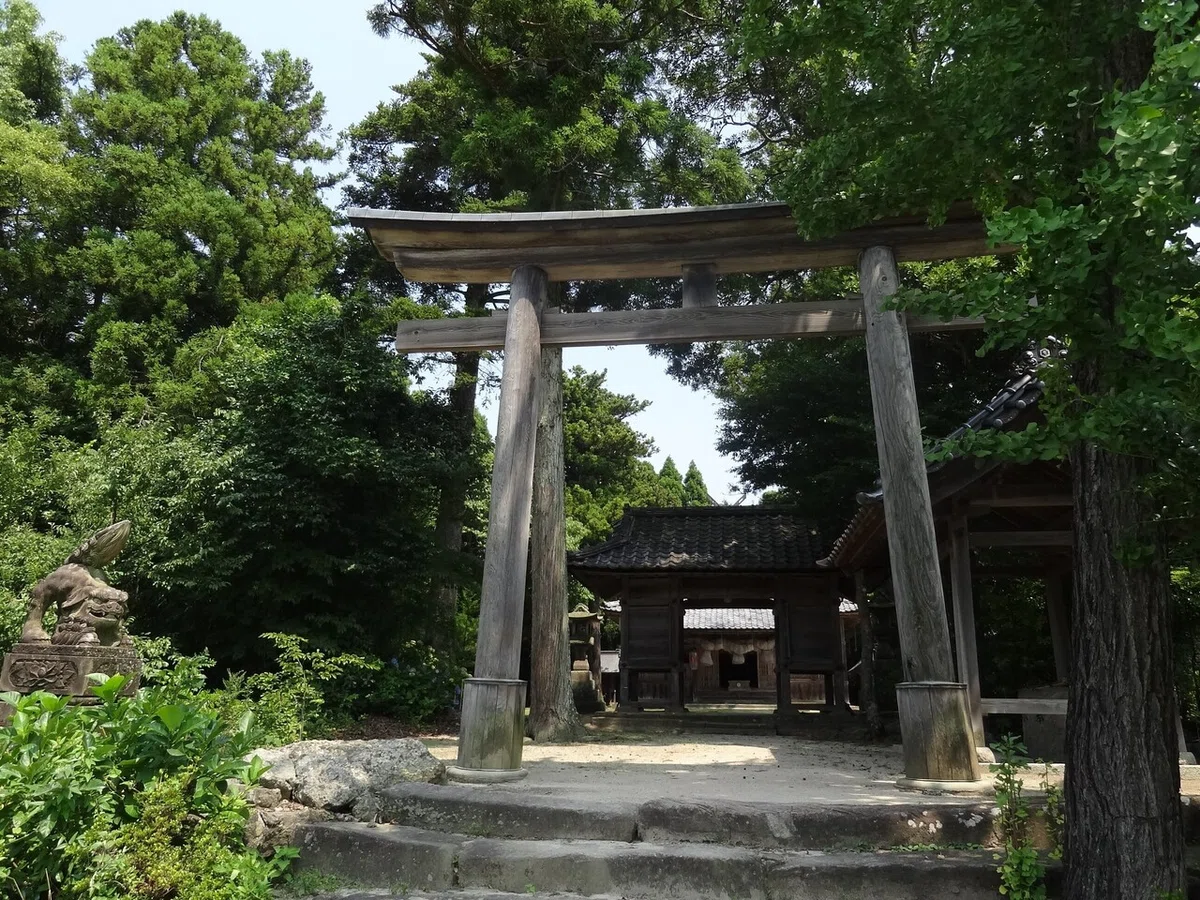 画像1