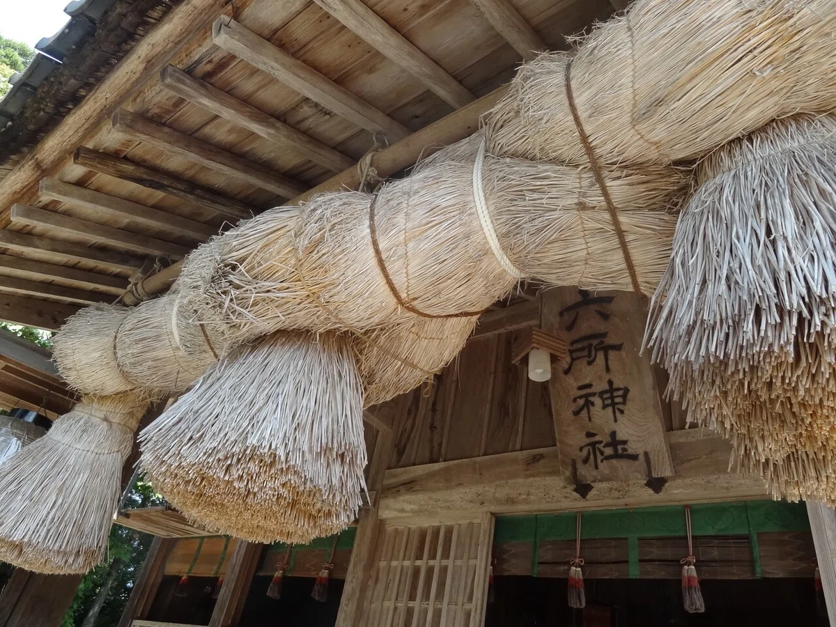 画像5