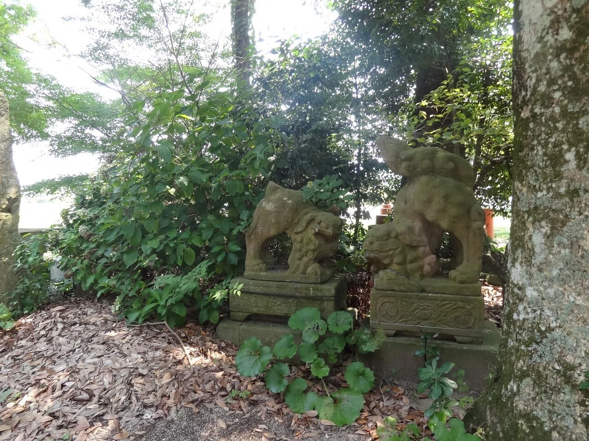 画像6