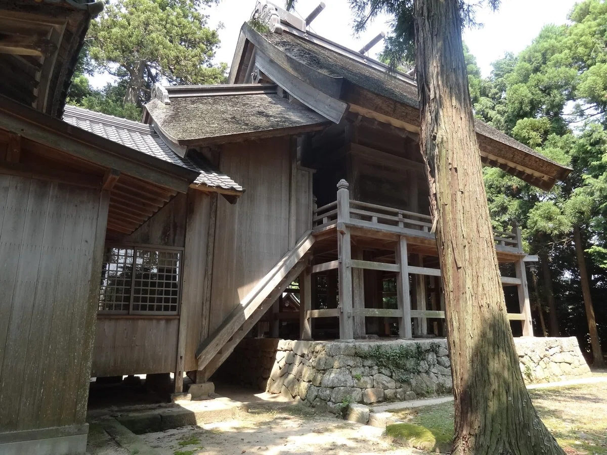 画像7