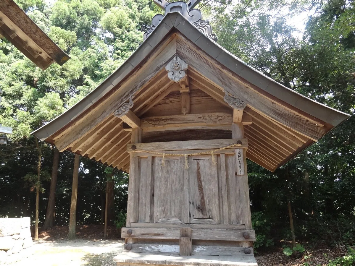 画像8
