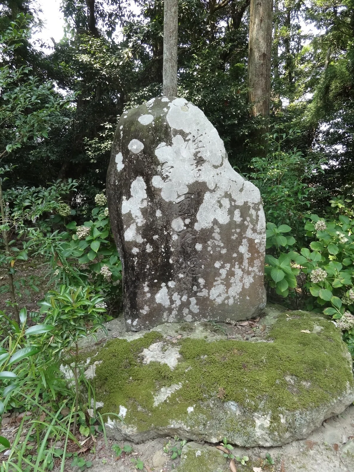 画像9