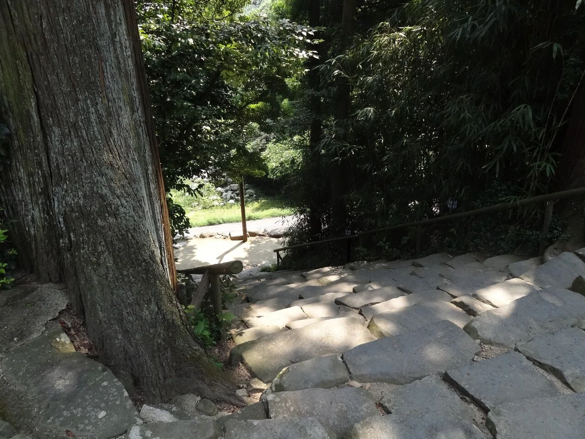 画像4