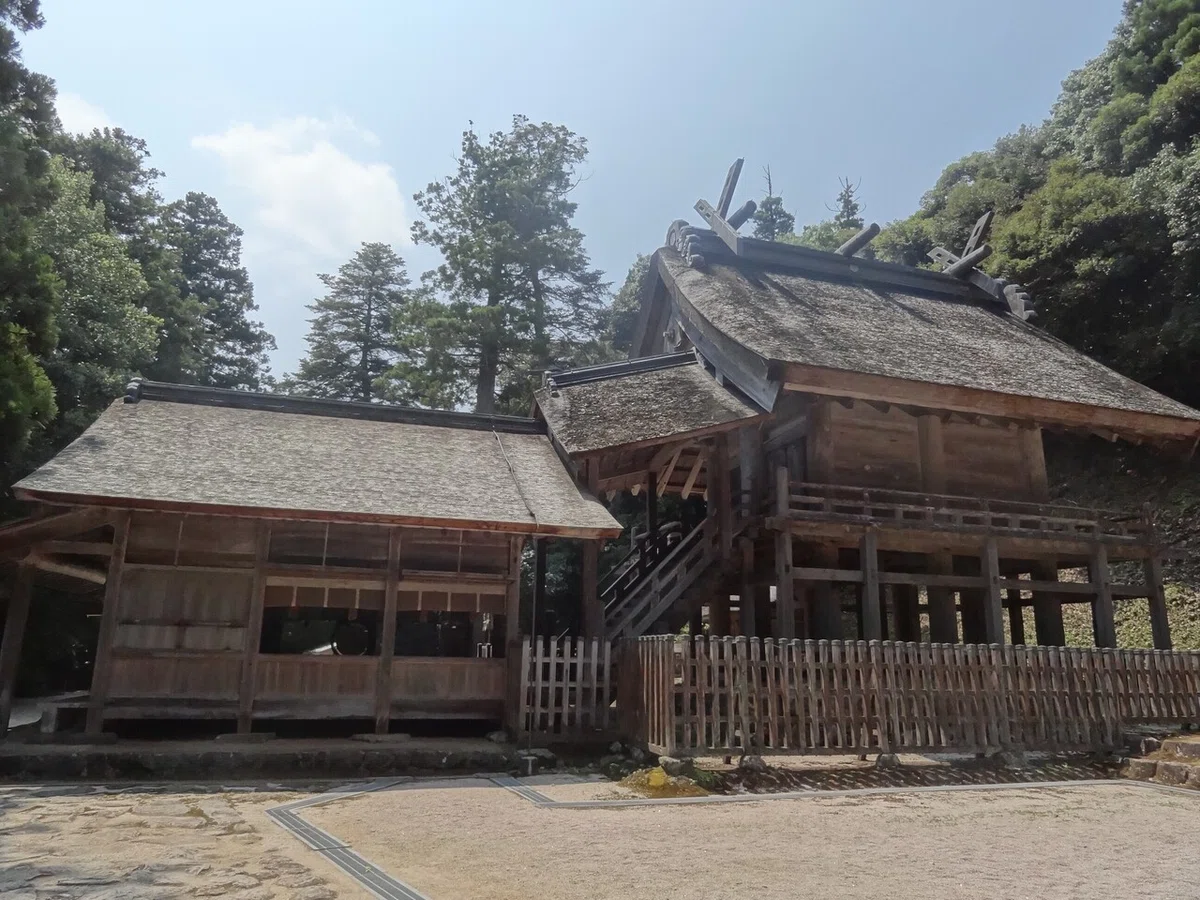 画像7