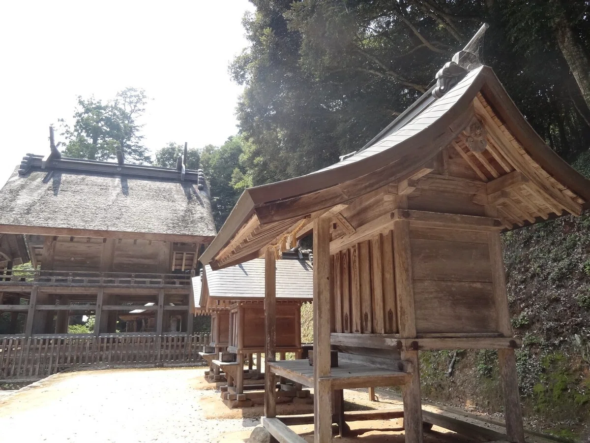 画像8