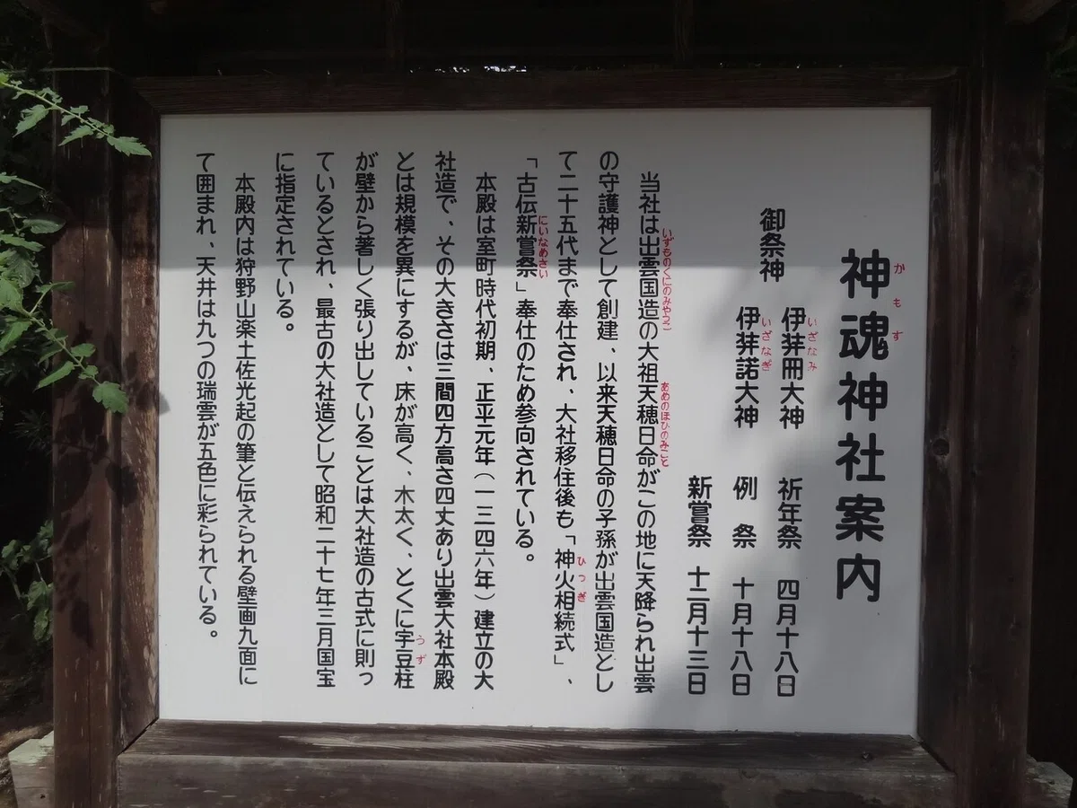 画像11