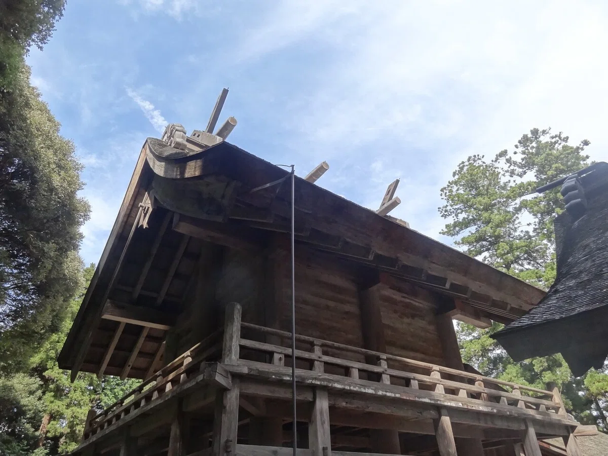 画像17
