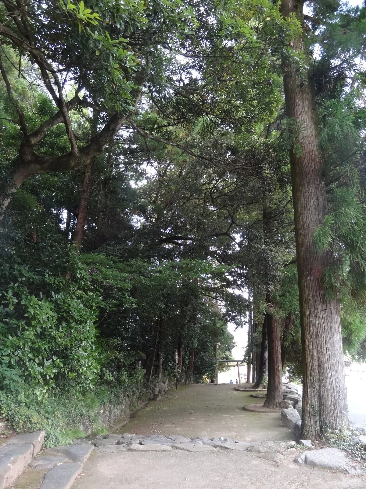 画像18