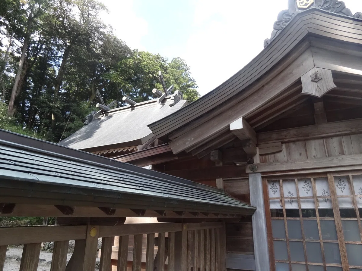画像5