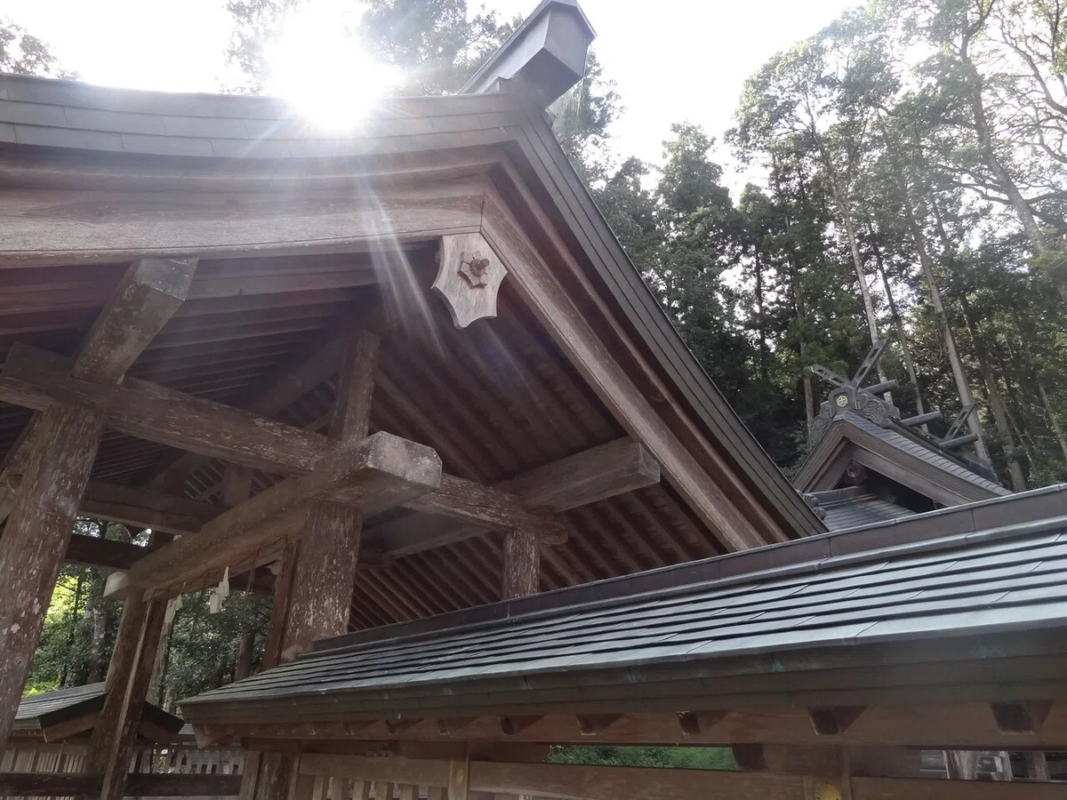 画像6