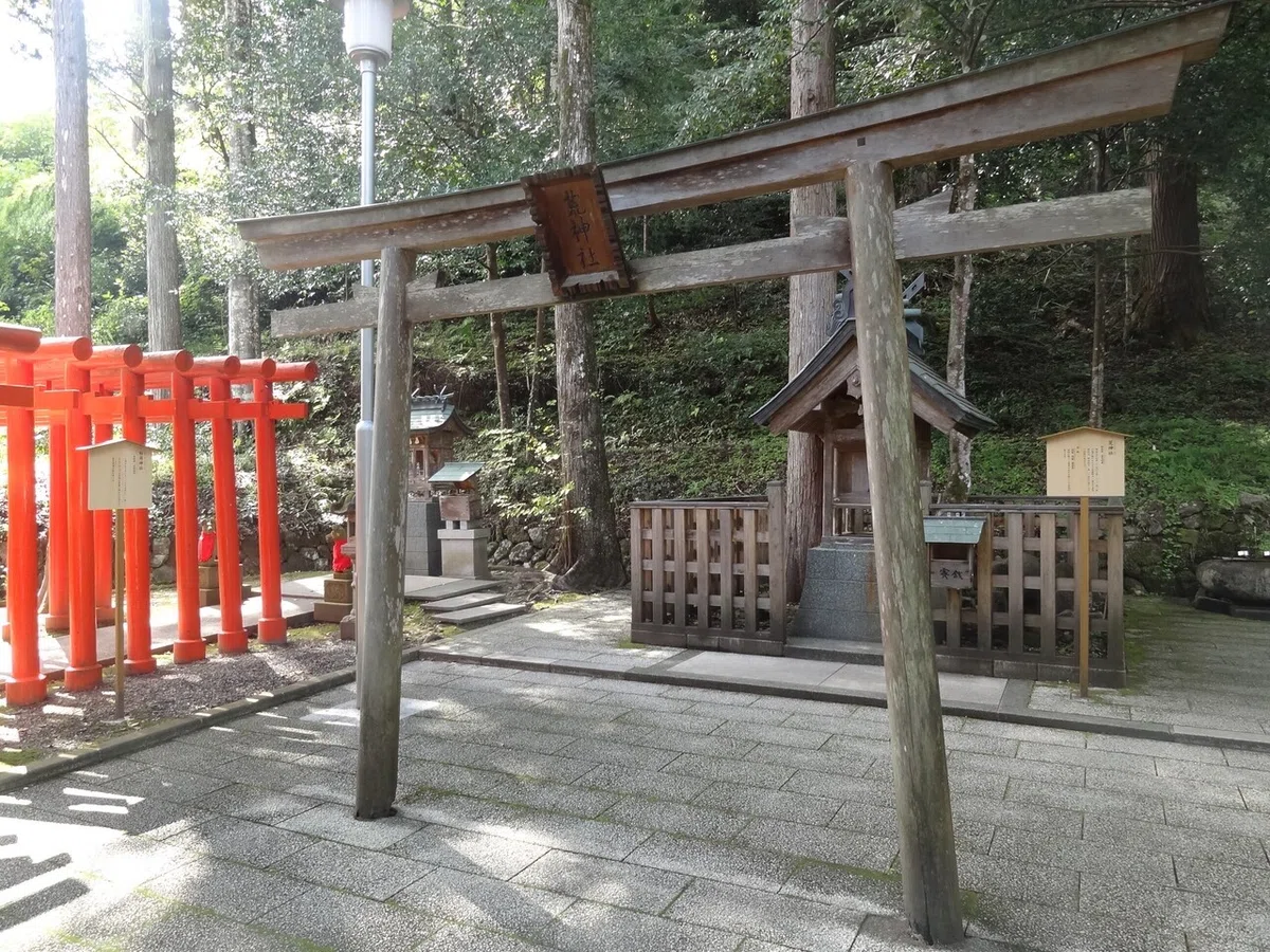 画像8