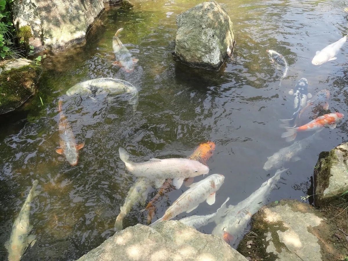 画像11