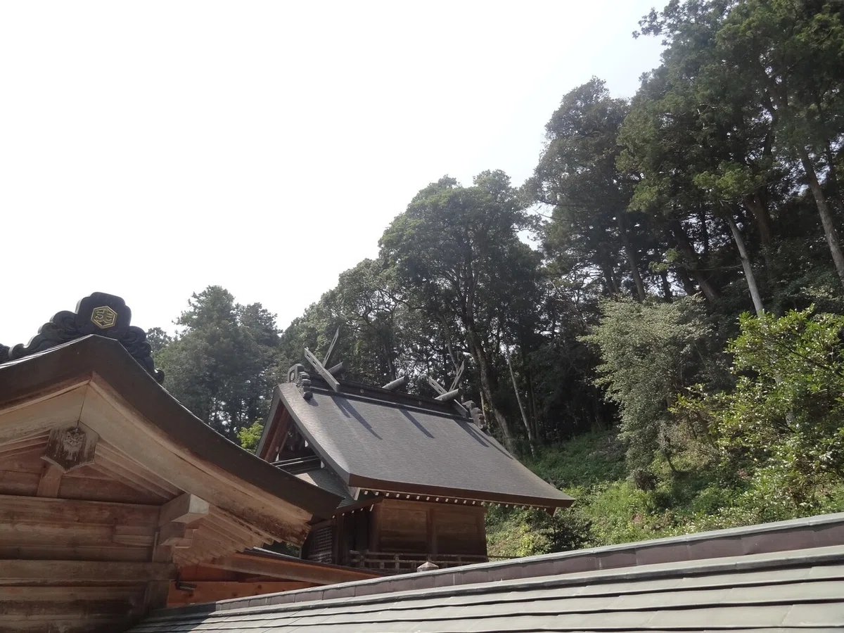 画像17