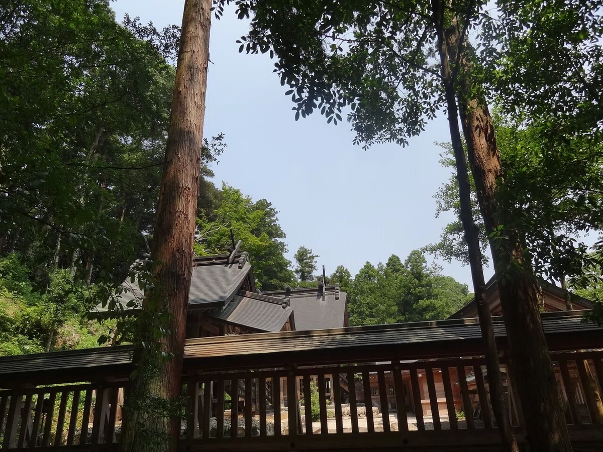 画像18