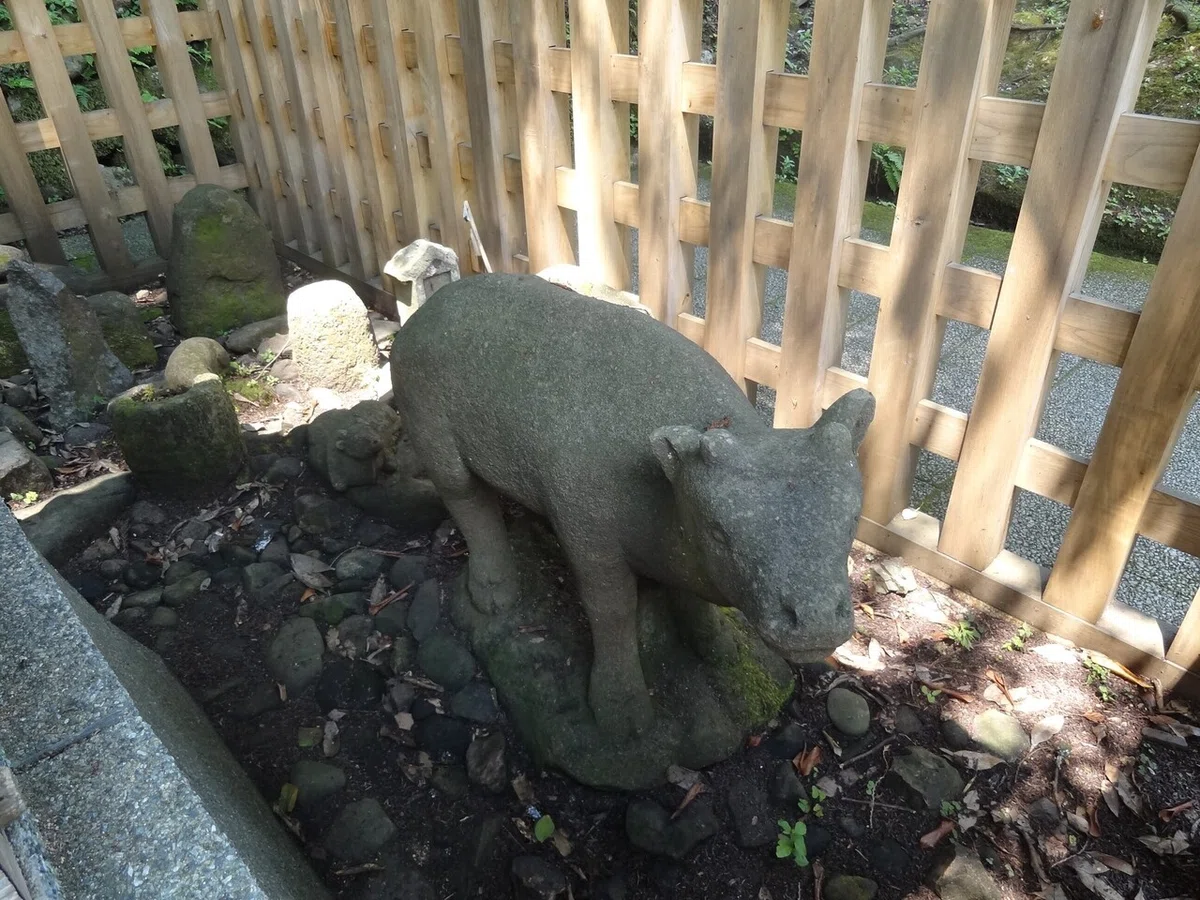 画像19