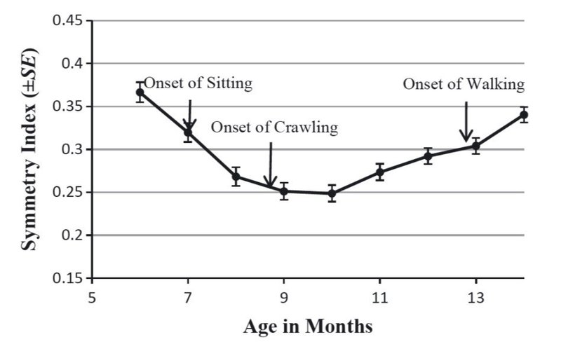 赤ちゃんの左右分化した そして対称的な手の使用の発達に対する姿勢の影響 Postural Influences On The Development Of Infant Lateralized And 子どものセラピーに必要な支点 Note