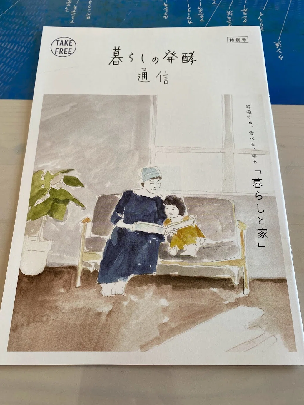 画像9