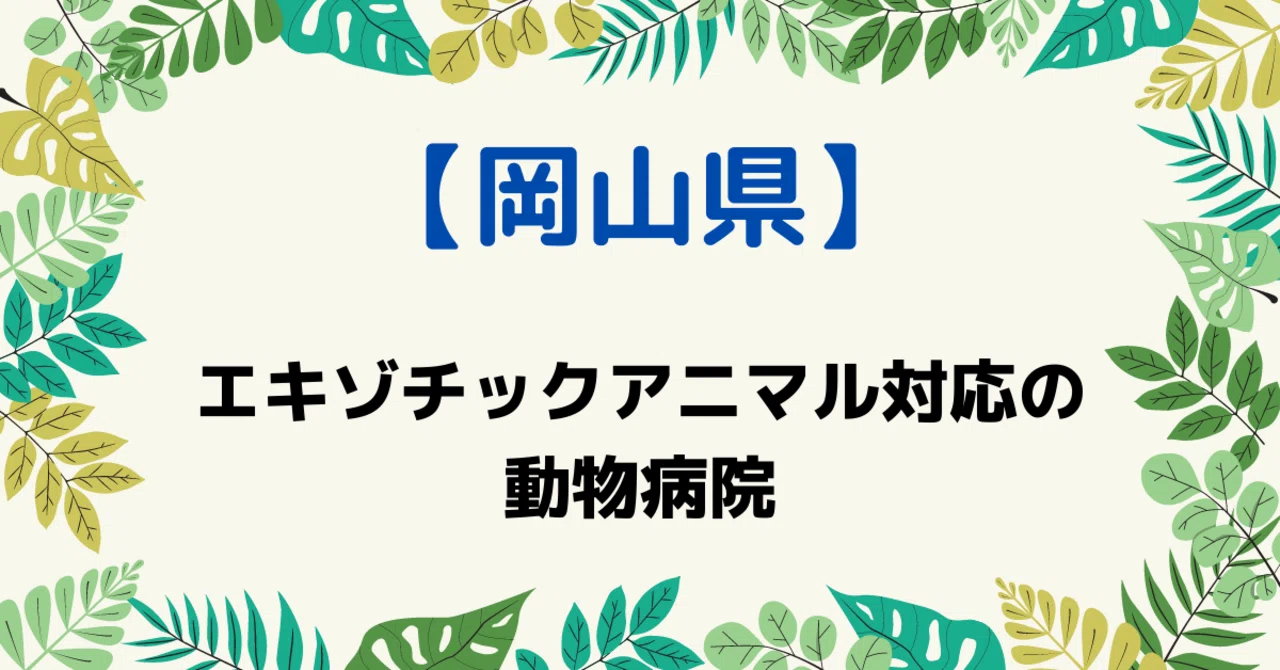 岡山県 エキゾチックアニマル対応の動物病院一覧 アニマルブログ Note