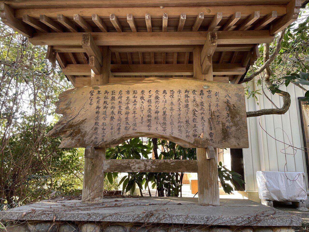 画像26