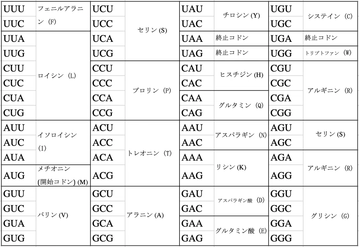 codon table (1文字表記)