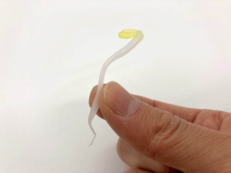最強の縁起物 それは もやし リアルすぎるもやしフィギュア 御守やし おまもやし の販売を開始します 高橋晋平 おもちゃクリエーター Note