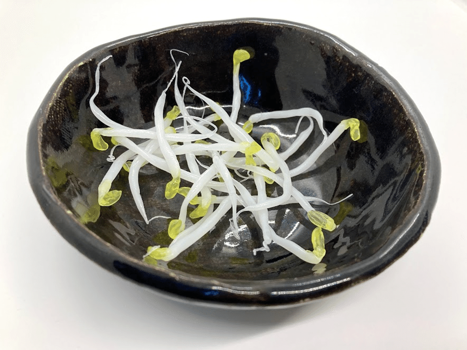 最強の縁起物、それは「もやし」。リアルすぎるもやしフィギュア「御守