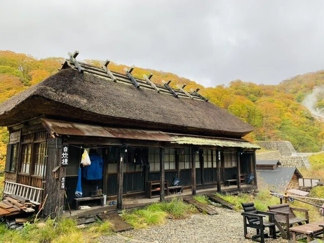 画像7