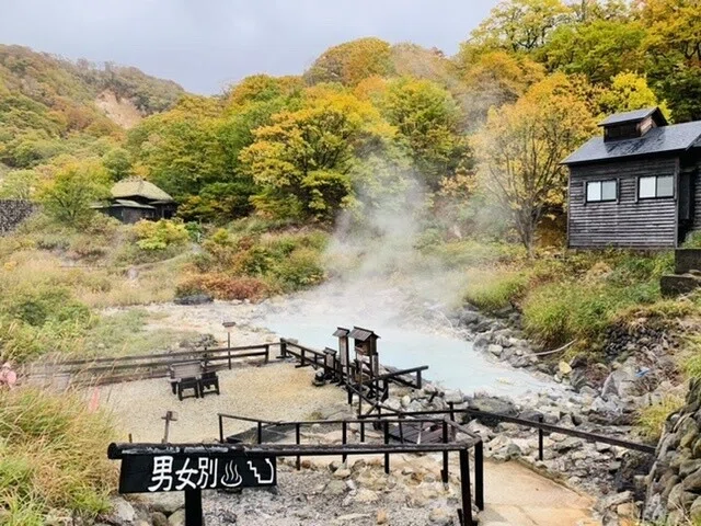 画像8