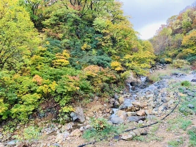 画像27