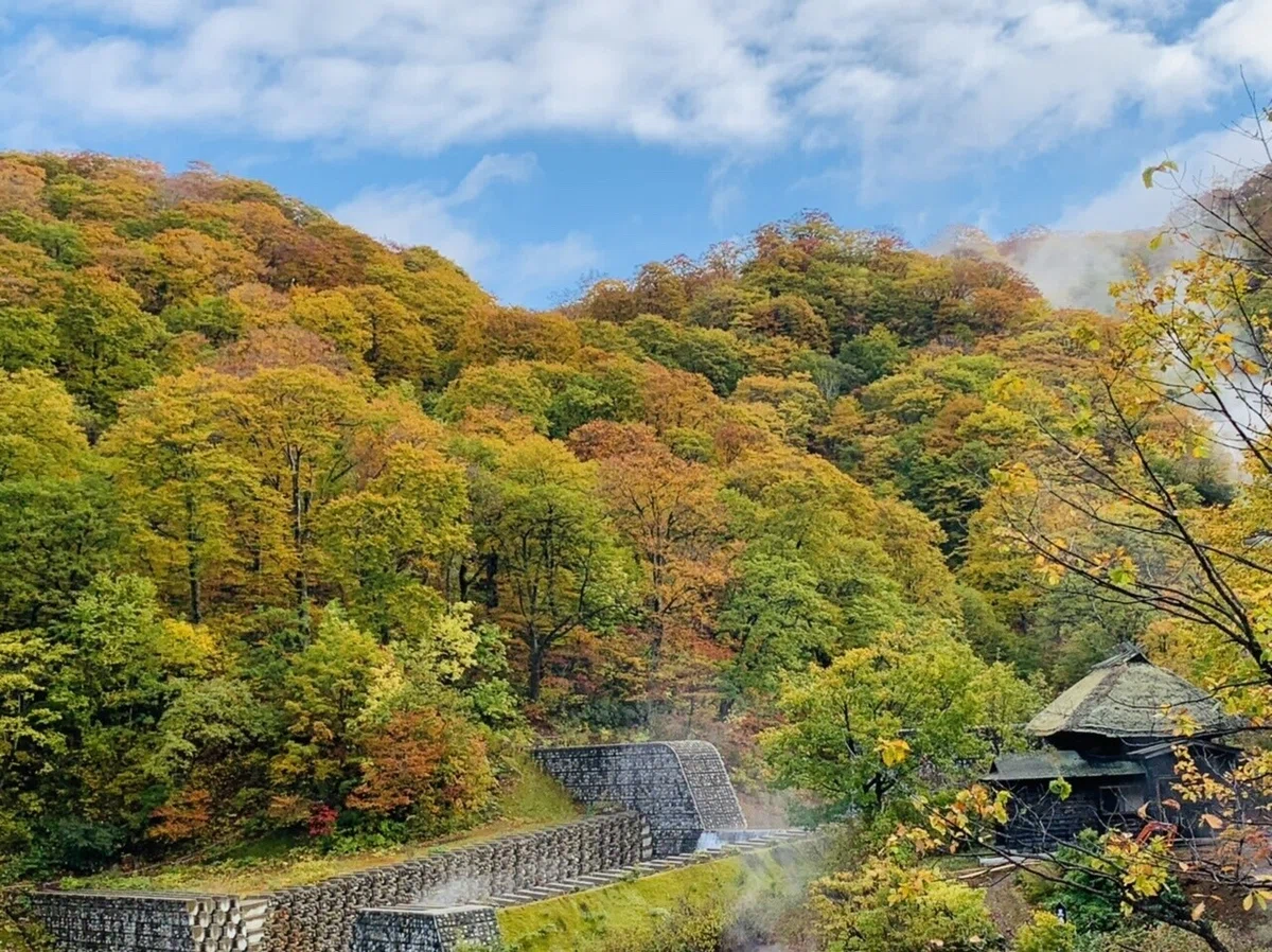 画像28