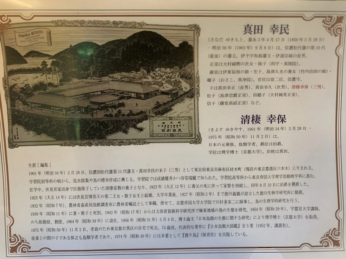 画像9