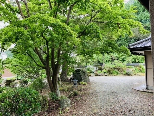 画像12