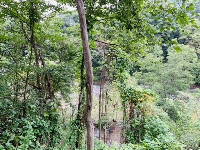 画像10
