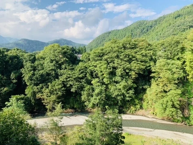 画像12