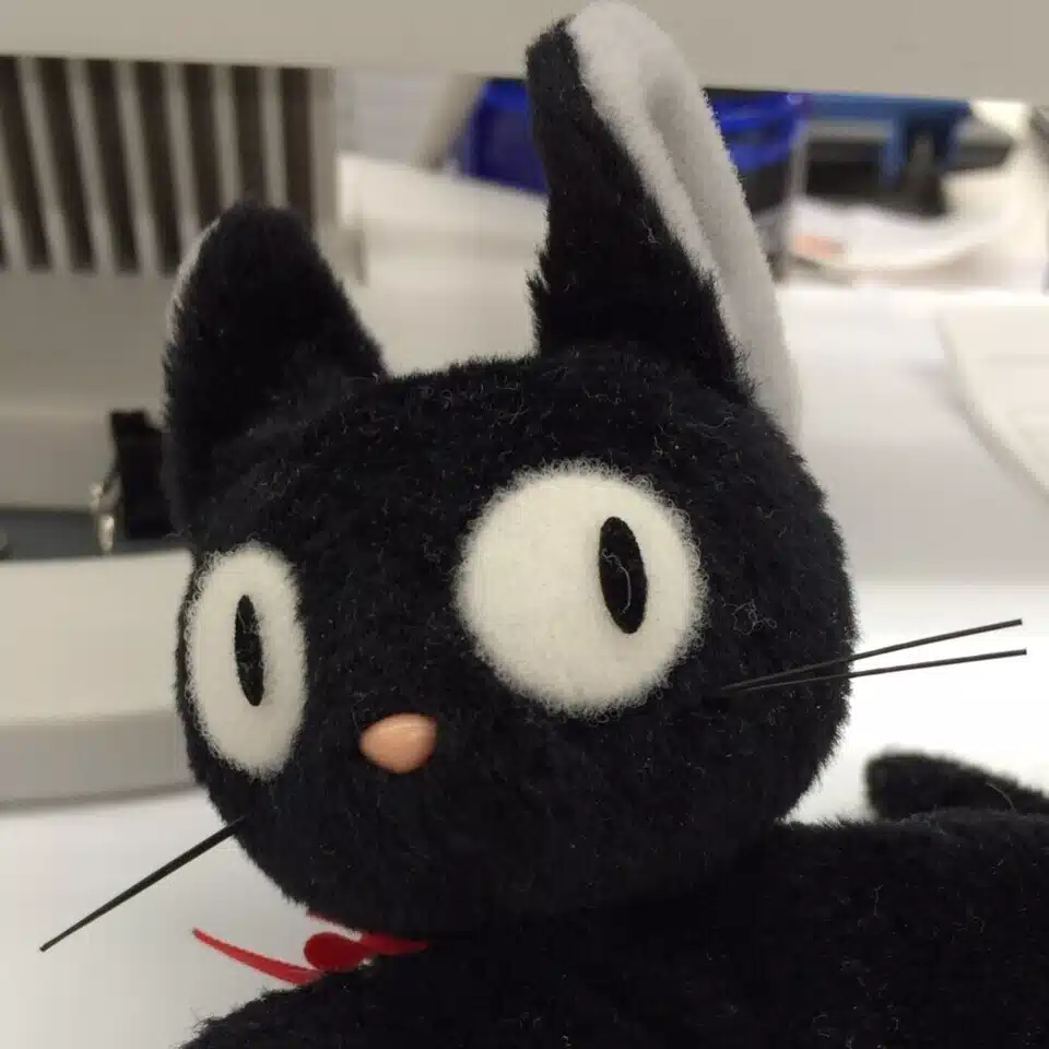 TS