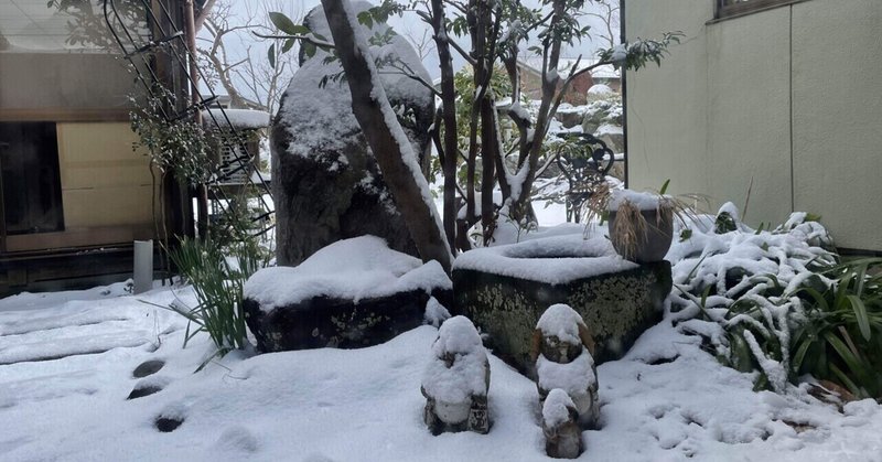 初雪、降りました