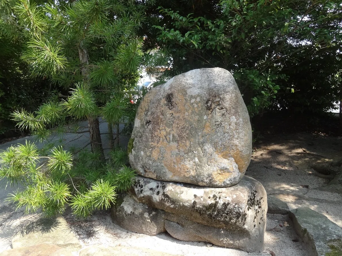 画像5