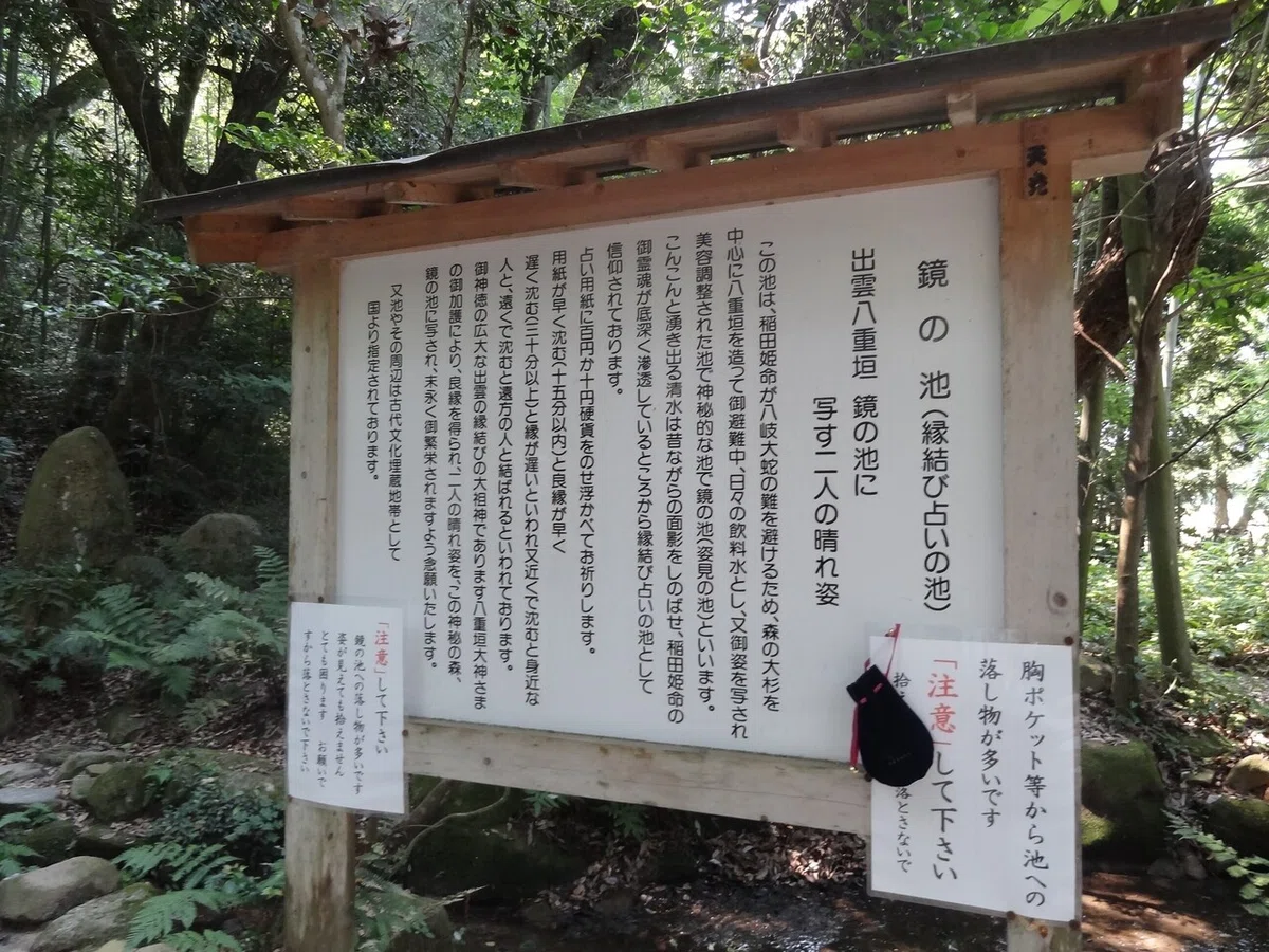 画像15