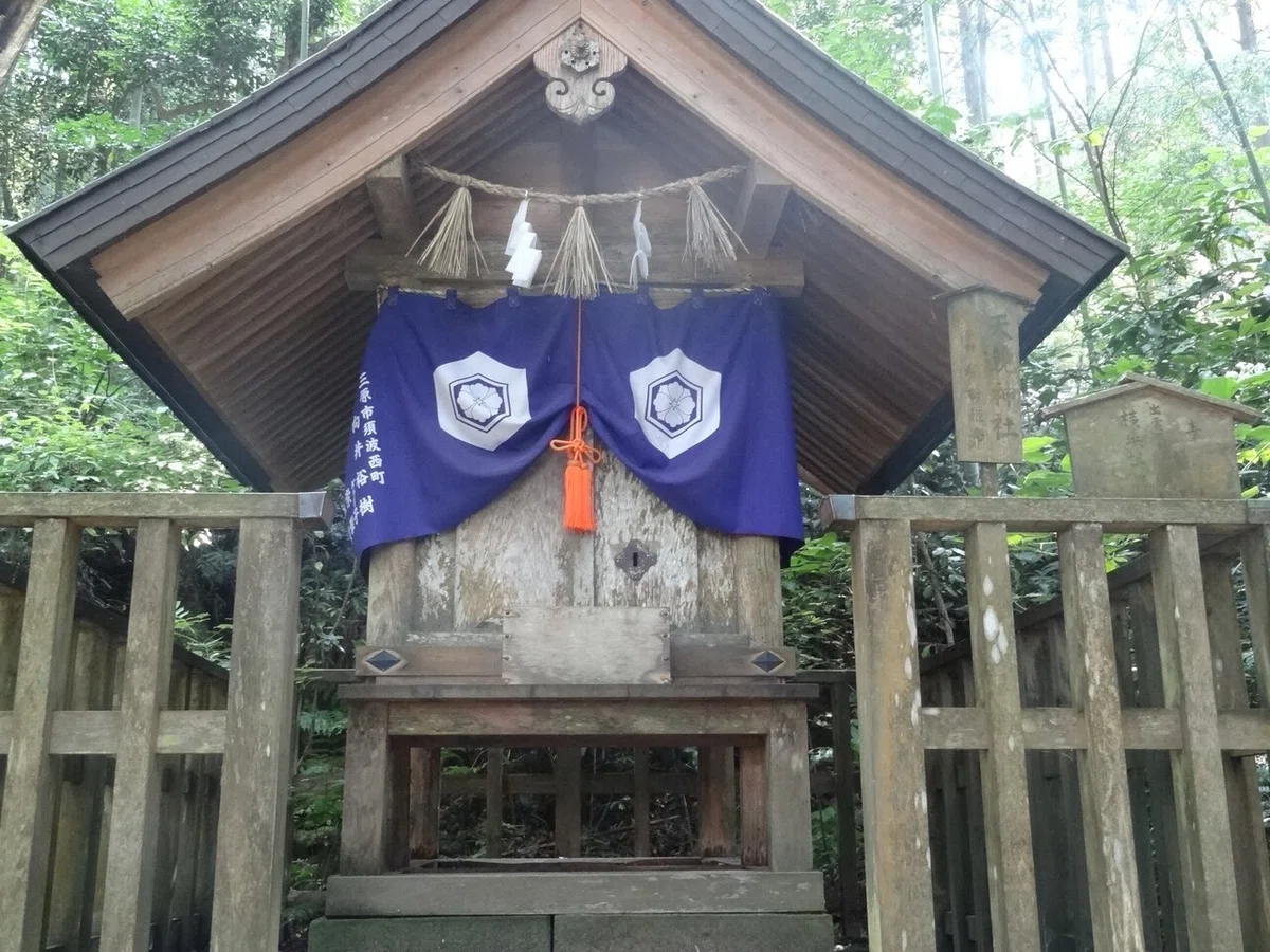 画像21