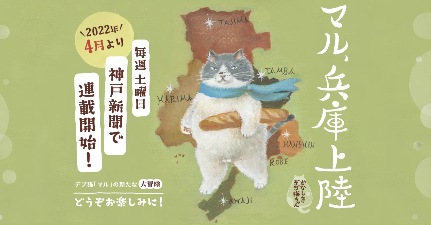 デブ猫 マル 今春 兵庫上陸 神戸新聞公式 うっとこ兵庫