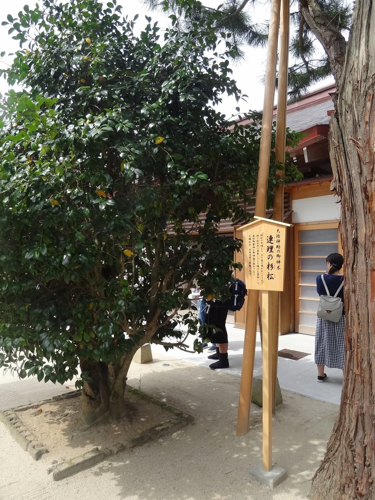 画像29