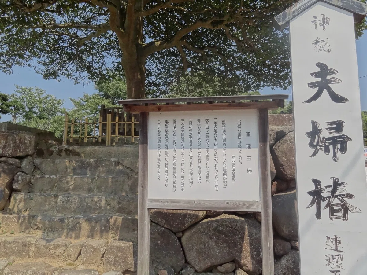 画像32