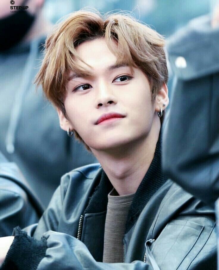 stray kids ストレイキッズ リノ ミノ