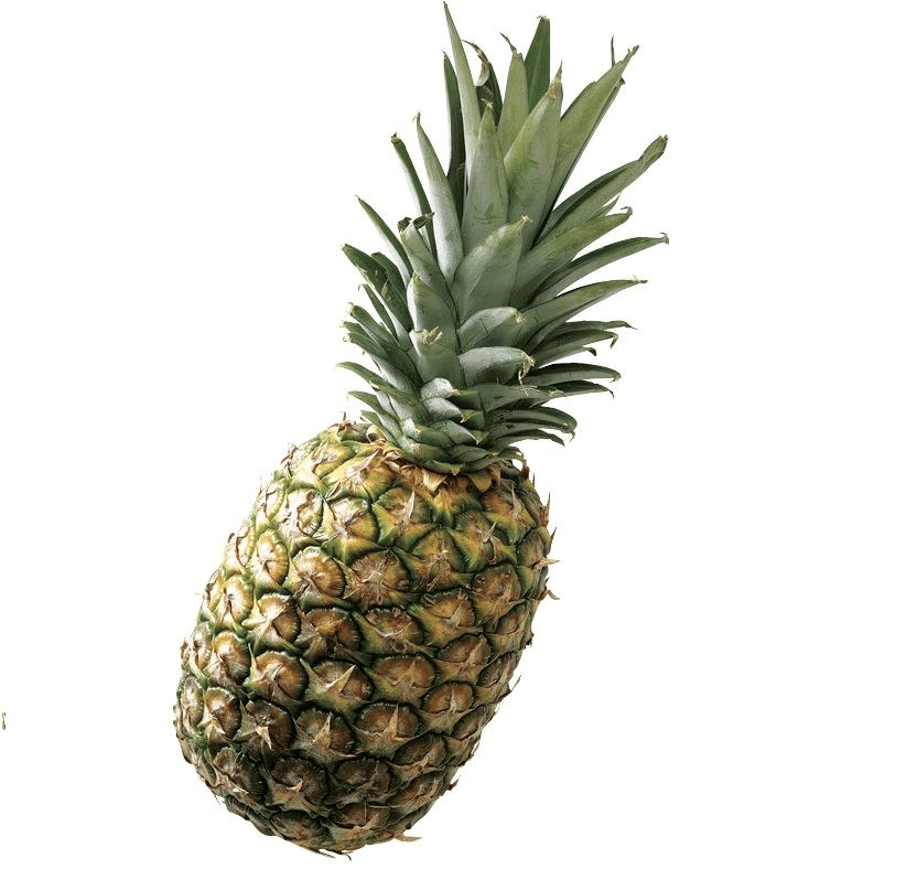 パイナップル。｜塚本直毅（ラブレターズ）