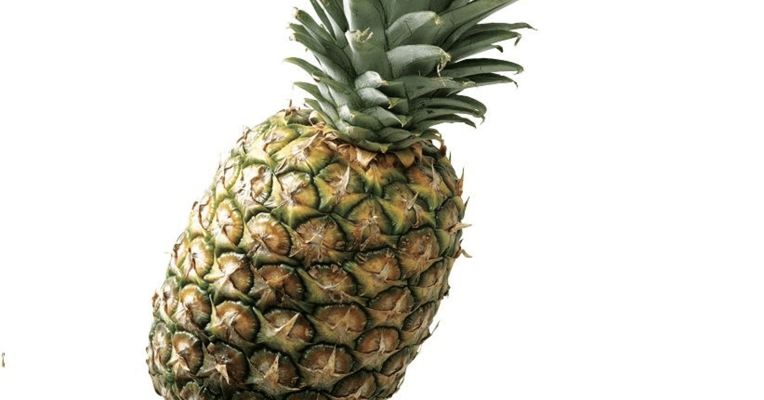 パイナップル。｜塚本直毅（ラブレターズ）