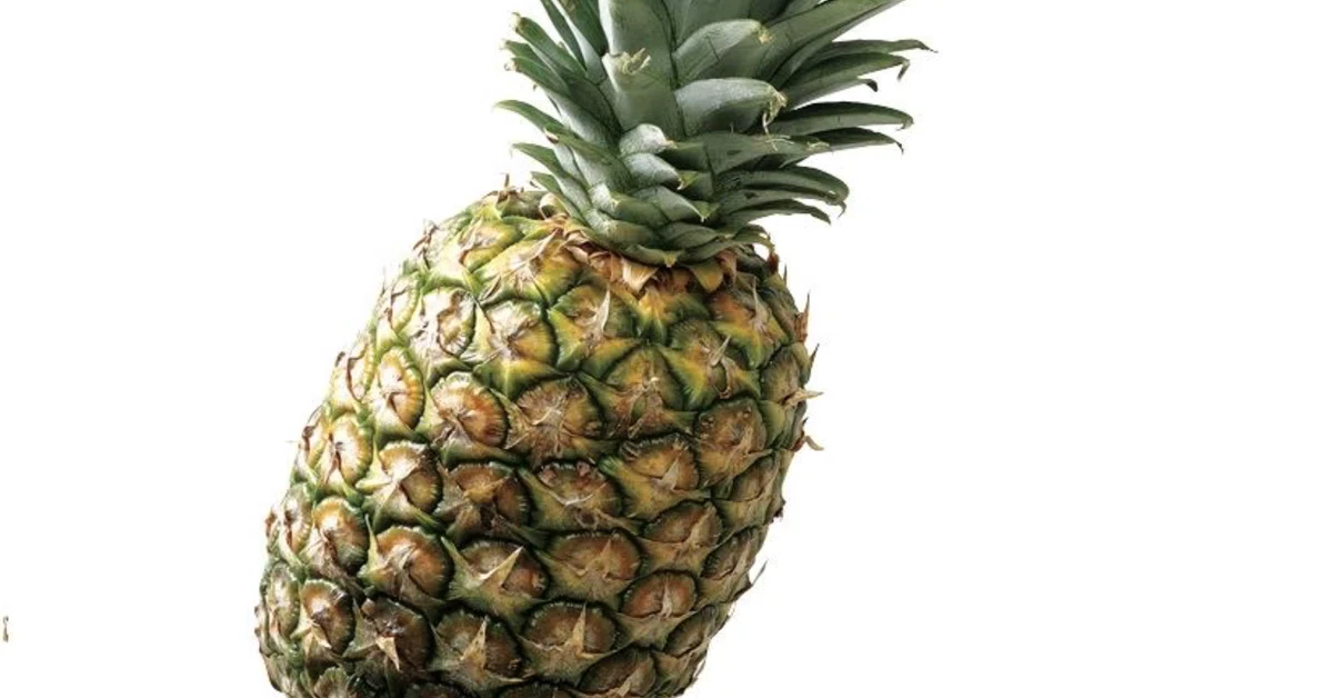 Pineapple Note Pineapple.|塚本直毅(ラブレターズ)