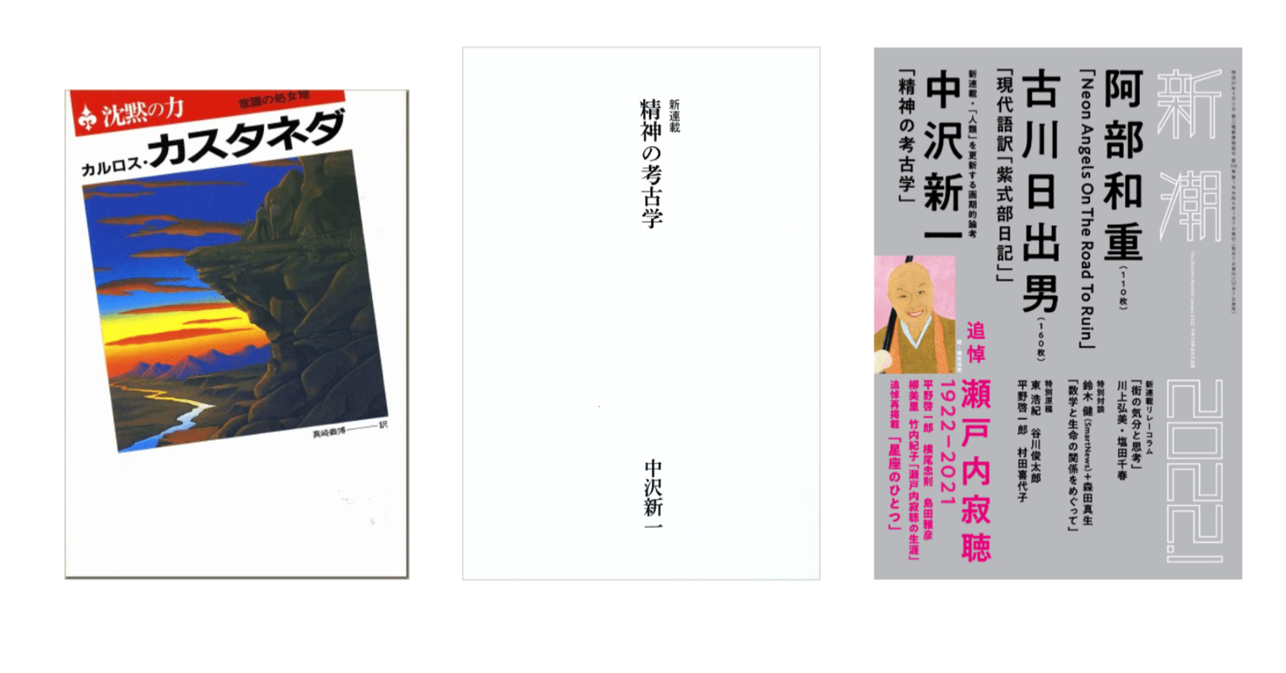 中沢新一「精神の考古学」／カルロス・カスタネダ『沈黙の力』｜KAZE