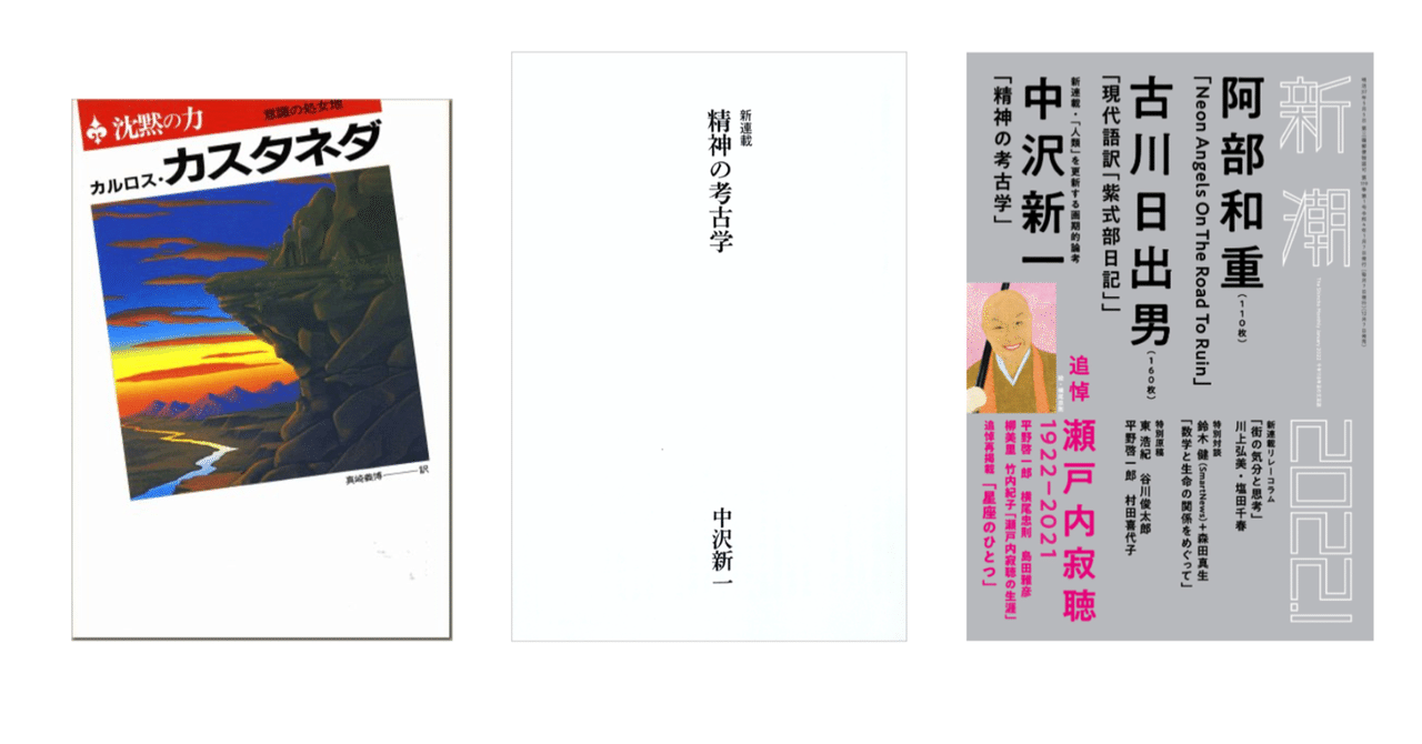 中沢新一「精神の考古学」/カルロス・カスタネダ『沈黙の力』