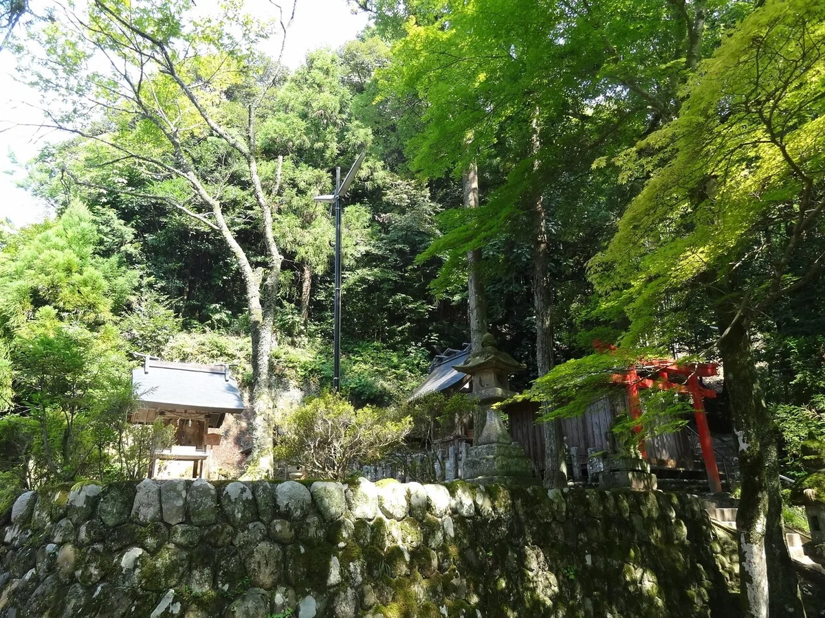 画像4