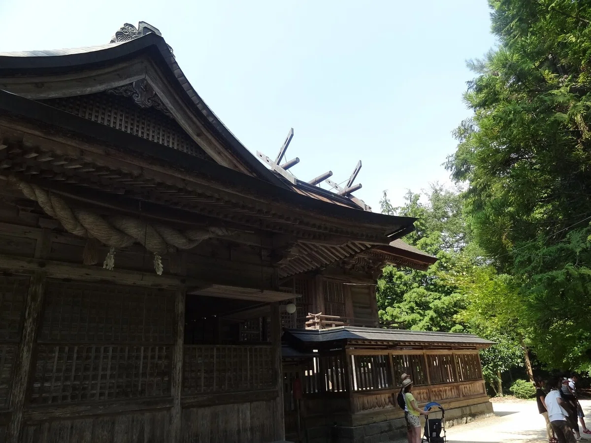 画像5